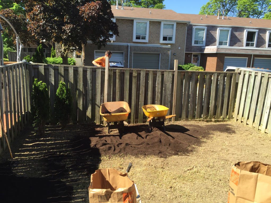 Sod Installation