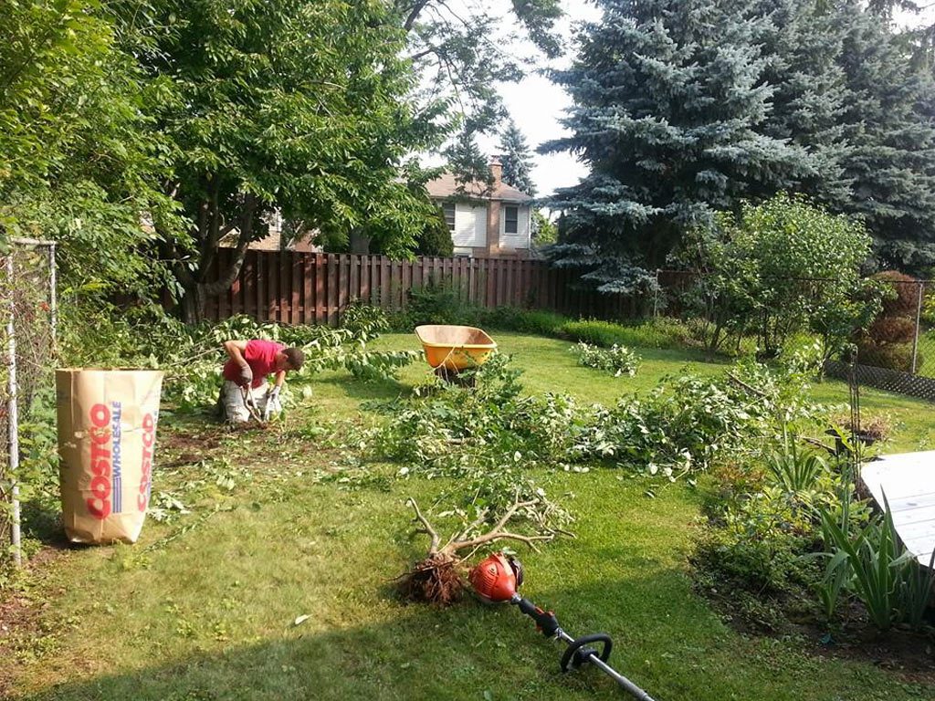 Sodding-service-Richmond-Hill