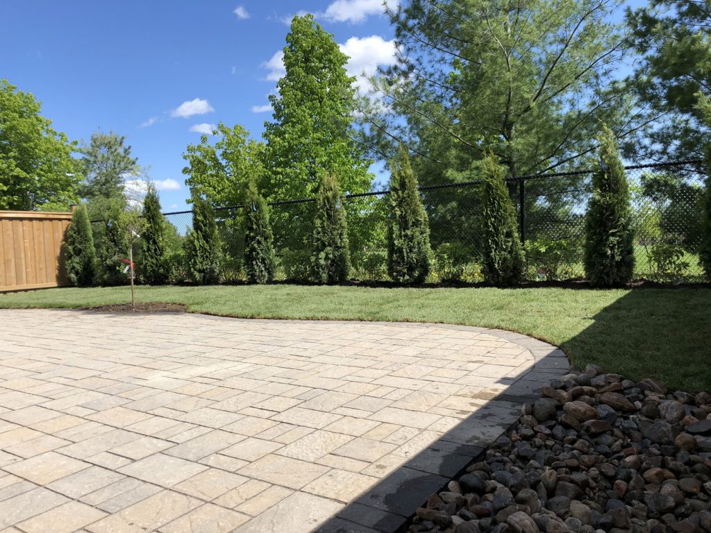 after backyard tree plant and sodding lawn - landscaping richmond hill