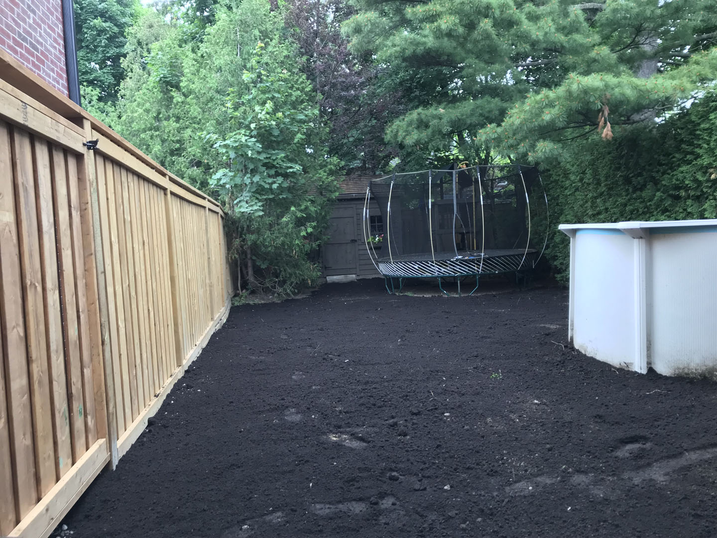 new sodding layout in progress toronto