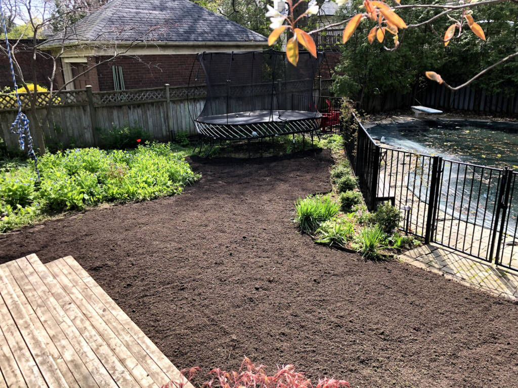 Seeding a new lawn