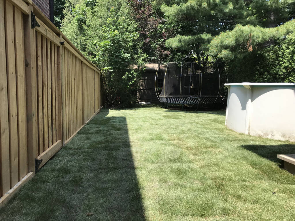 backyard sod installation process in Milton