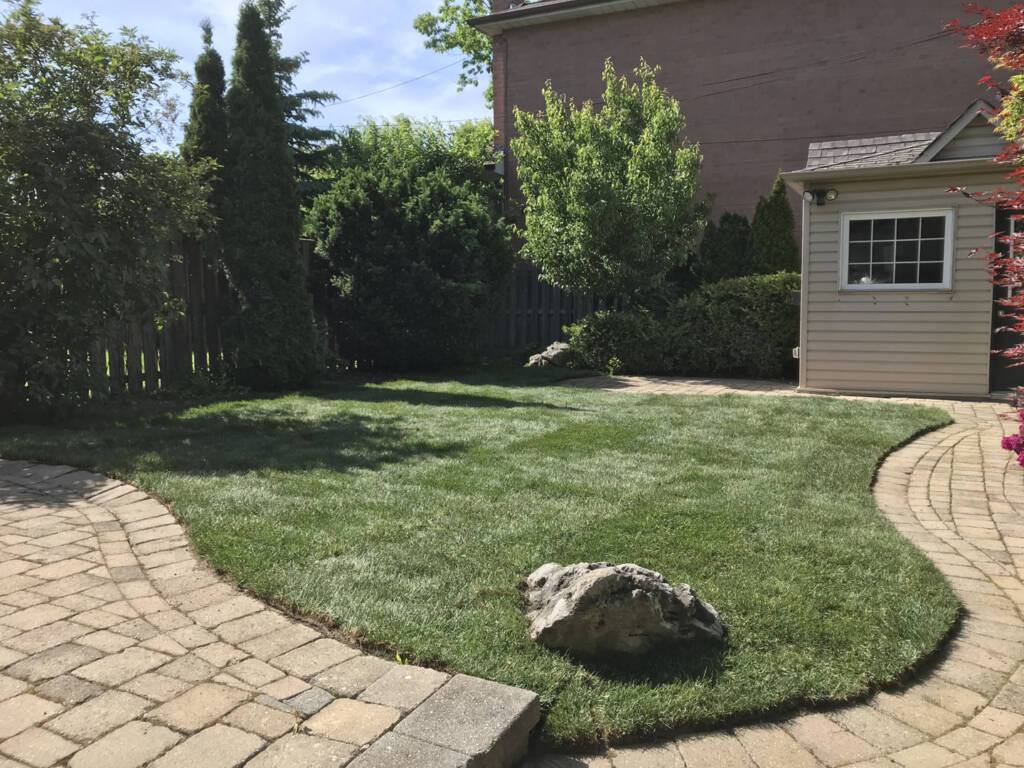 sod installation services done by JHC Landscaping in Oakville