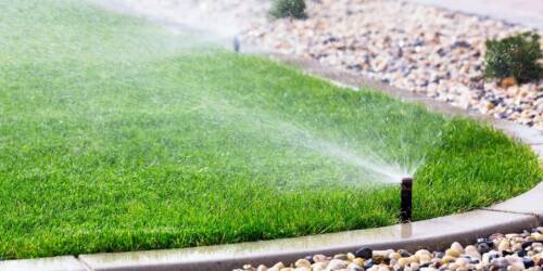 The Most Effective Ways to Water Your Lawn