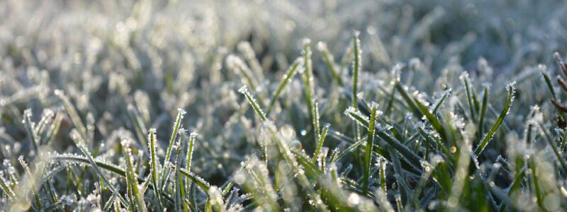 Winter lawn care services in Richmond Hill