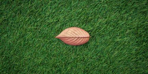 6 Signs It’s Time to Install New Artificial Grass