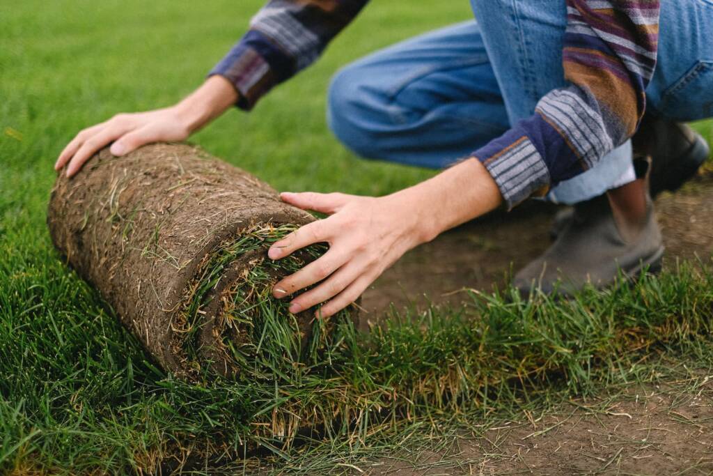 artificial grass maintenance